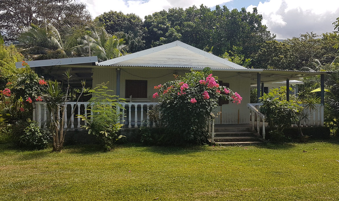 Vente Terrain Cap Méchant de 7324 m² Saint-Philippe